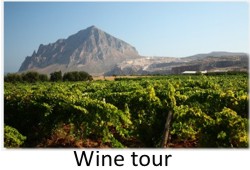 wine tour