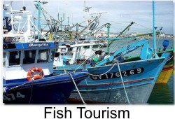 pesca turismo